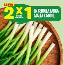 Ara En cebolla larga malla oferta