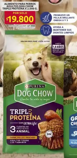 Ara Dog chow alimento para perros adultos triple proteina oferta