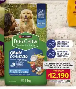 Ara Dog chow alimento para perros gran comienzo toda raza oferta