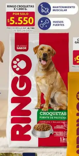 Ara Ringo croquetas oferta