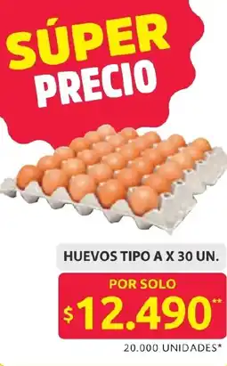 Ara Huevos tipo A oferta