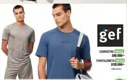 Jumbo Gef camisetas oferta