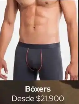Jumbo Bóxers oferta