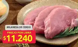 Ara Milanesa de cerdo oferta