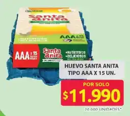 Ara Huevo santa anita tipo AAA oferta