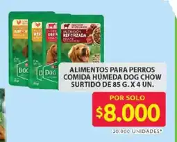 Ara Dog chow alimentos para perros comida humeda surtido oferta