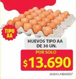 Ara Huevos tipo AA oferta