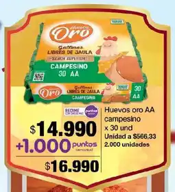 Jumbo Huevos oro AA campesino oferta