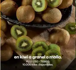 Éxito Kiwi en a granel o malla oferta