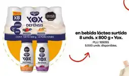 Éxito yox en bebida láctea surtida oferta