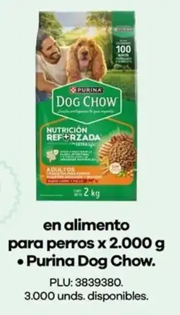 Éxito Purina dog chow en alimento para perros oferta