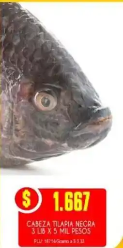Mercapava Cabeza tilapia negra oferta