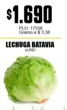Mercapava Lechuga batavia oferta