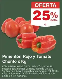 Makro Chonto pimentón rojo y tomate oferta