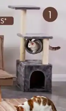Homecenter Gimnasio ejercicio para gatos oferta