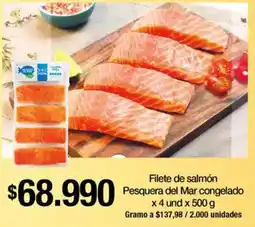 Jumbo Filete de salmón pesquera del mar congelado oferta