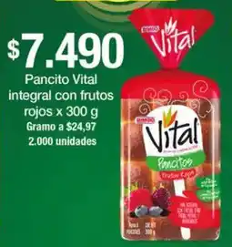 Jumbo Pancito Vital integral con frutos rojo oferta