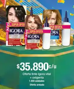 Jumbo Igora oferta tinte vital + oxigenta oferta