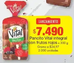 Metro Vital integral pancito con frutos rojos oferta