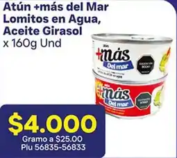 La Gran Colombia Atún +más del mar lomitos en agua, aceite girasol oferta