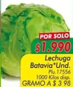 Mercapava Lechuga batavia oferta