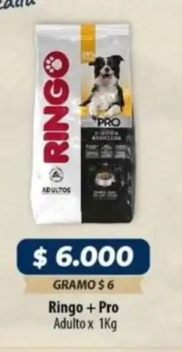 El Cámbulo Ringo + pro adulto oferta