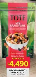 Ara Tote - mix arandanos oferta