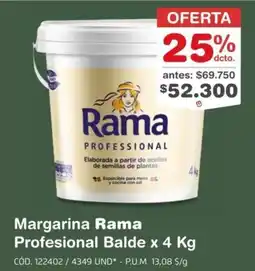 Makro Rama margarina profesional balde oferta