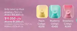 Nova Venta Lip - brillo labial mask oferta