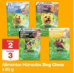 Makro Dog chow alimentos húmedos oferta