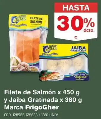 Frigogher filete de salmón