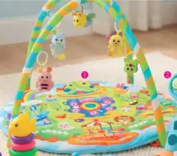 Los Tres Elefantes Gimnasio Redondo oferta