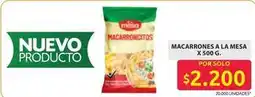 Ara Macarroncitos oferta