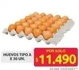 Ara Huevos tipo a oferta