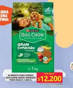 Ara Purina - dog chow gran comienzo oferta