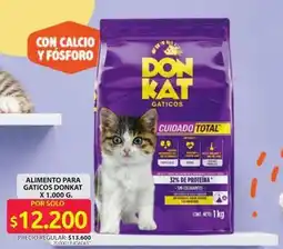 Ara Alimento para gaticos oferta