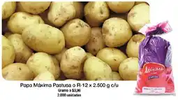 Jumbo Papa Máxima Pastusa oferta