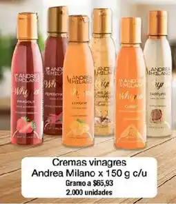 Jumbo Andrea Milano cremas vinagres oferta