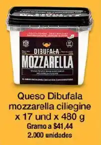 Jumbo Dibufala mozzarella ciliéine oferta