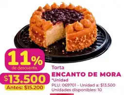 Belalcazar Torta encanto de mora oferta