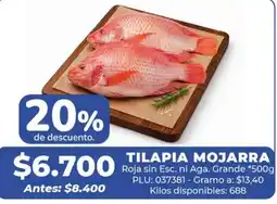 Belalcazar Tilapia mojarras oferta
