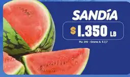 Surtifamiliar Sandía oferta
