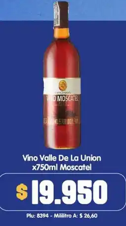 Surtifamiliar Vino Valle De La Union oferta