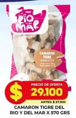 Simona Camaron Tigre Del Rio Y Del Mar oferta