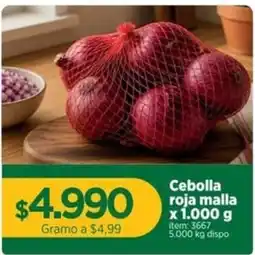 MegaTiendas Cebolla roja malla oferta