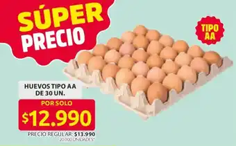 Ara Huevos tipo aa oferta