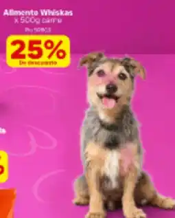 La Gran Colombia Alimento Whiskas oferta