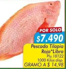 Mercapava Pescado Tilapia Roja oferta