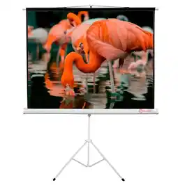 Falabella Pantalla para Proyector con Trípode 180 x 180 cm Formato 1:1 oferta