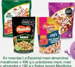 Jumbo Manitoba mezclas La Especial mani almendras marañanas oferta
